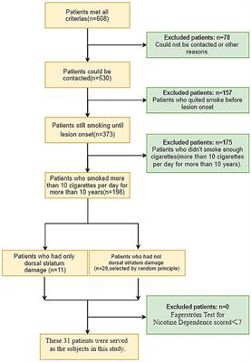 Disruption of Cigarette Smoking Addiction After Dorsal Striatum Damage